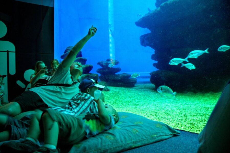 Mallorca: Palma Aquarium with Transfers, Guide & Fast Entry - Lunch, re-entry, and Playa de Palma