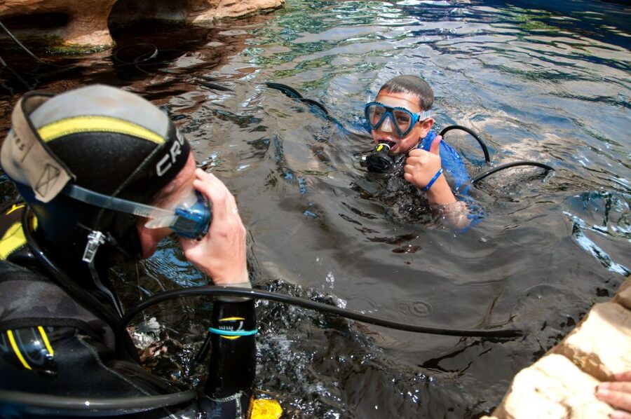 Mallorca: Palma Aquarium with Transfers, Guide & Fast Entry - The 16:00 return to Alcúdia