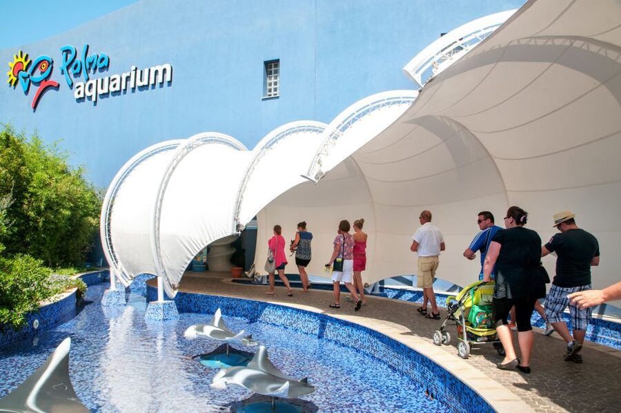 Mallorca: Palma Aquarium with Transfers, Guide & Fast Entry - Who will enjoy this day most?