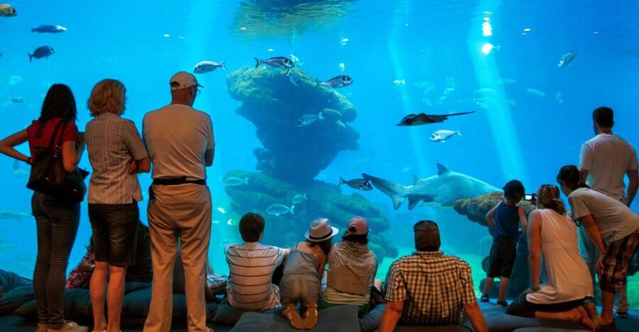 Mallorca: Palma Aquarium with Transfers, Guide & Fast Entry - Arriving at Palma Aquarium around 11:10