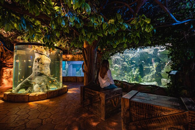 Malta National Aquarium Entrance Ticket - A compact aquarium with one strong central attraction