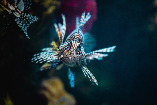 Malta National Aquarium Entrance Ticket - What the visit feels like inside