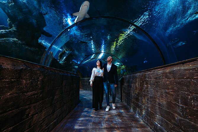 Malta National Aquarium Entrance Ticket - What the ticket is worth at $20.30
