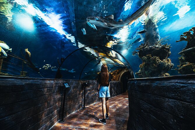 Malta National Aquarium Entrance Ticket - The 52 tanks and Malta’s underwater world