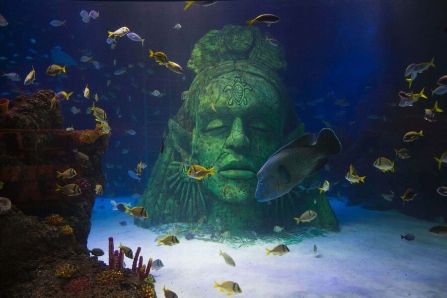 Manchester: SEA LIFE Entrance Ticket - Eleven Zones Give the Visit a Clear Shape