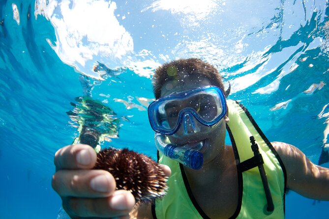 Mauna Kea 3hr Two Stop Sealife Snorkel Adventure - Key points to know before you book