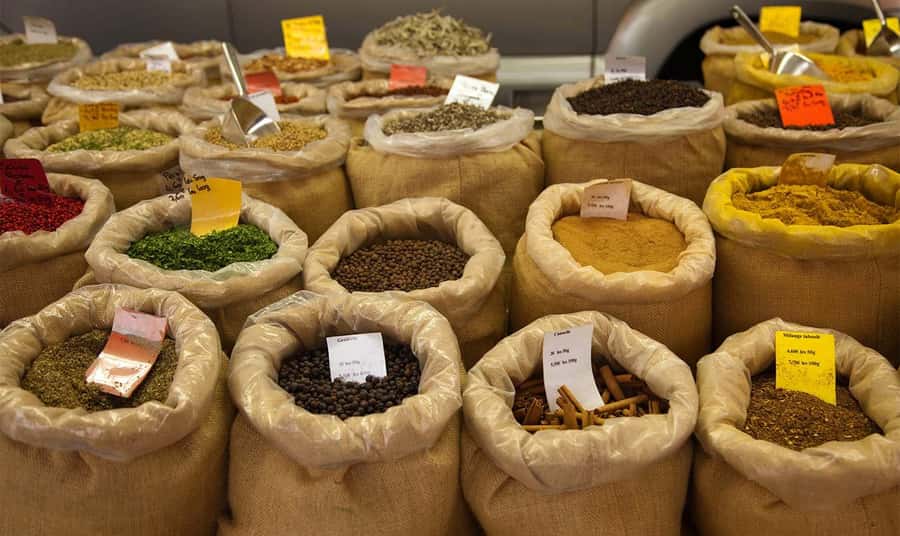 Mauritius: North Tour with Tea Tasting & Oceanarium Visit - Why the private format changes the value