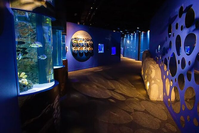Mauritius Odysseo Oceanarium in Port Louis - A Harbourfront Aquarium in the Heart of Port Louis