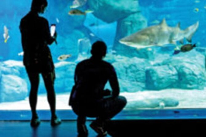 Mauritius Odysseo Oceanarium in Port Louis - Is Odysseo Best for Children or Adults?