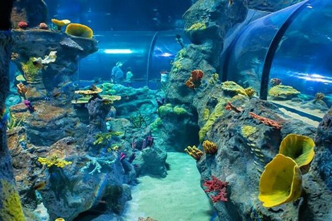 Mauritius Odysseo Oceanarium in Port Louis - Getting There and Managing the Visit