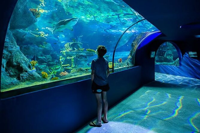 Mauritius Odysseo Oceanarium in Port Louis - The Educational Side: More Than Fish Behind Glass
