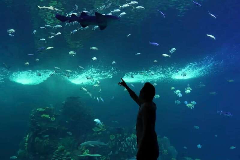 Mazatlan: Grand Aquarium Ticket and City Sightseeing Tour - Entering Gran Acuario Mazatlán with less waiting