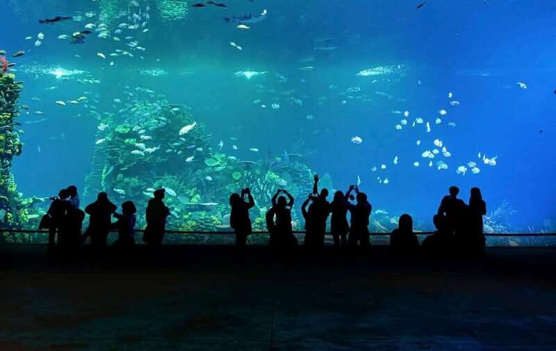 Mazatlan: Grand Aquarium Ticket and City Sightseeing Tour - What the $98 price really includes