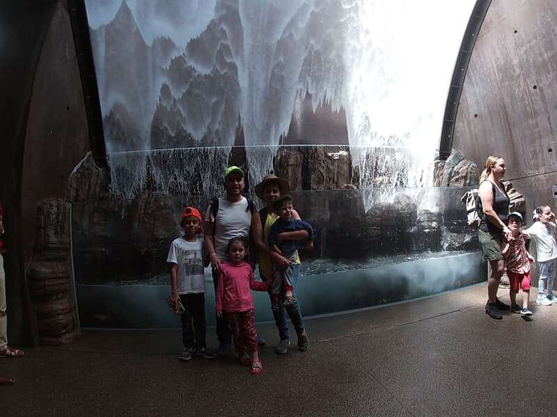 Mazatlan: Grand Aquarium Ticket and City Sightseeing Tour - Who will get the most from this experience?