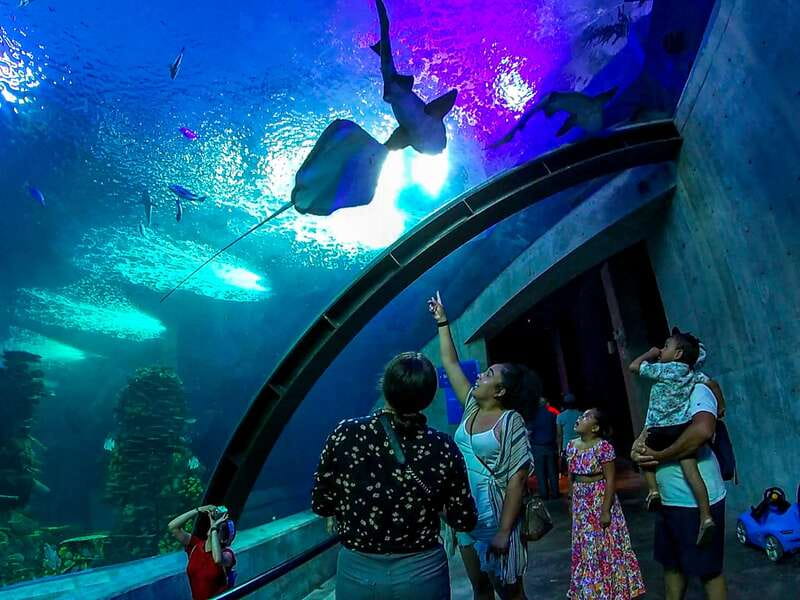 Mazatlan: Grand Aquarium Ticket and City Sightseeing Tour - Pickup from your hotel, Airbnb, or cruise terminal