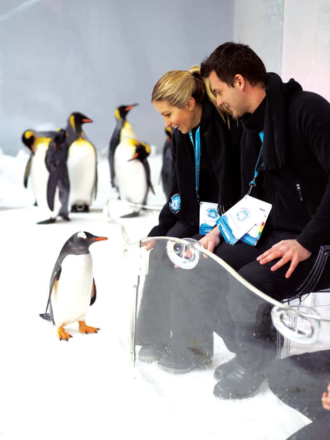Melbourne: SEA LIFE Aquarium Entrance Ticket - Pinjarra and the aquarium’s larger creatures