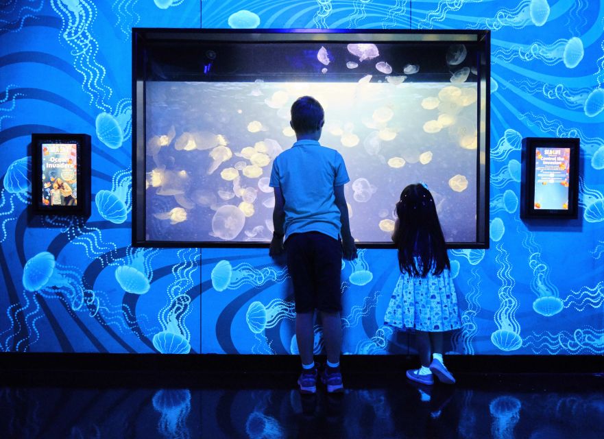 Melbourne: SEA LIFE Aquarium Entrance Ticket - Add the 4D cinema, touch pools, and talks