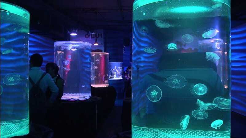 Mexico City: Inbursa Aquarium optional Round trip transfer - Photo stops, shopping, and the final return