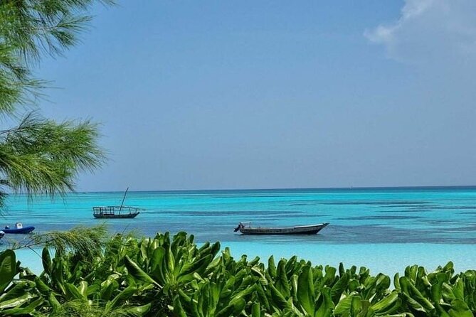 Mnemba Island Half Day Live Aquarium With Transfer - Zanzibar - Key points to know before booking