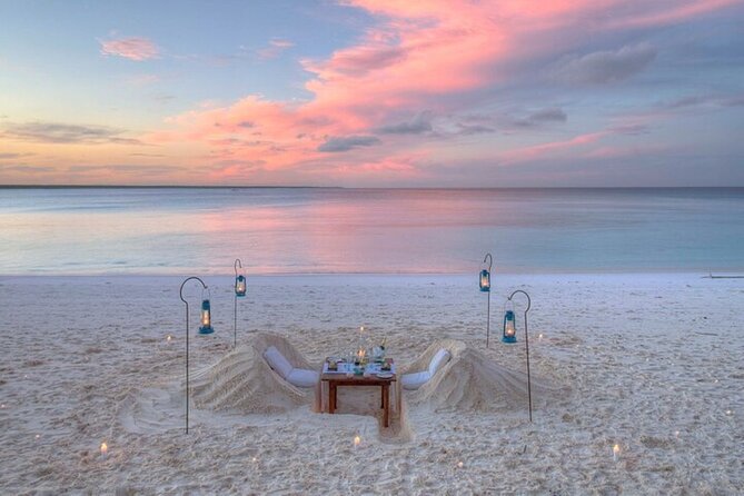 Mnemba Island Half Day Live Aquarium With Transfer - Zanzibar - Dolphin watching and the Mnemba access question