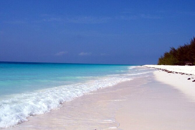Mnemba Island Half Day Live Aquarium With Transfer - Zanzibar - Guides, equipment, and the service level