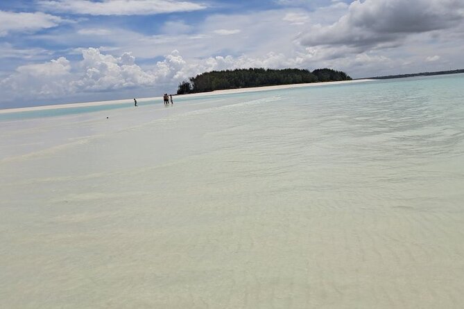 Mnemba Snorkeling, Dolphin and Baraka Natural Aquarium - The dolphin search near Mnemba