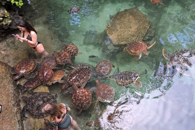 Mnemba Snorkeling, Dolphin and Baraka Natural Aquarium - Who should book this tour