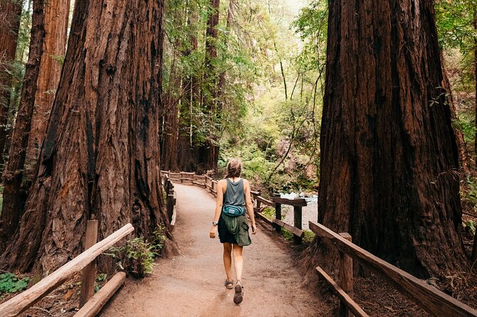 Muir Woods with Napa & Sonoma Wine Tour + Alcatraz Tour & Aquarium Access - Napa and Sonoma tastings with room for variety