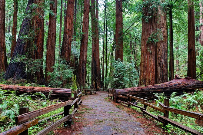 Muir Woods with Napa & Sonoma Wine Tour + Alcatraz Tour & Aquarium Access - Is $279.02 good value?
