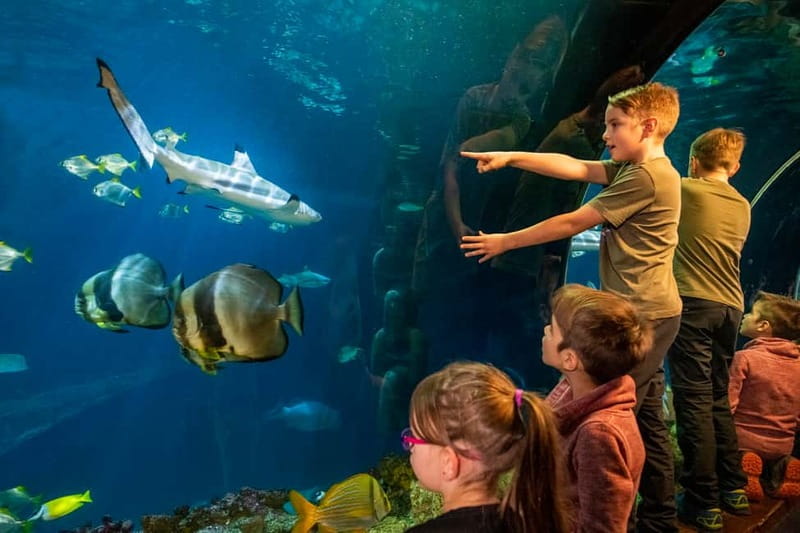 Munich: Day Ticket to Sea Life - Starting at the Isar River in Olympic Park