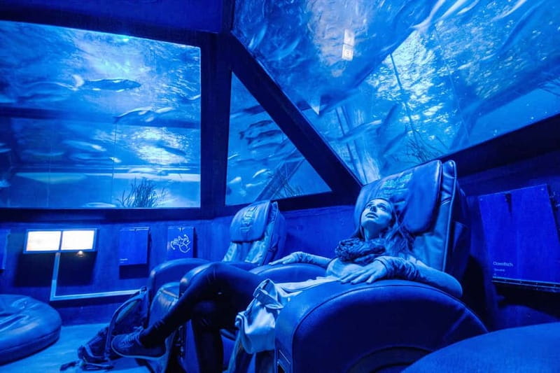 Munich: Day Ticket to Sea Life - The Eight-Meter Ocean Tunnel
