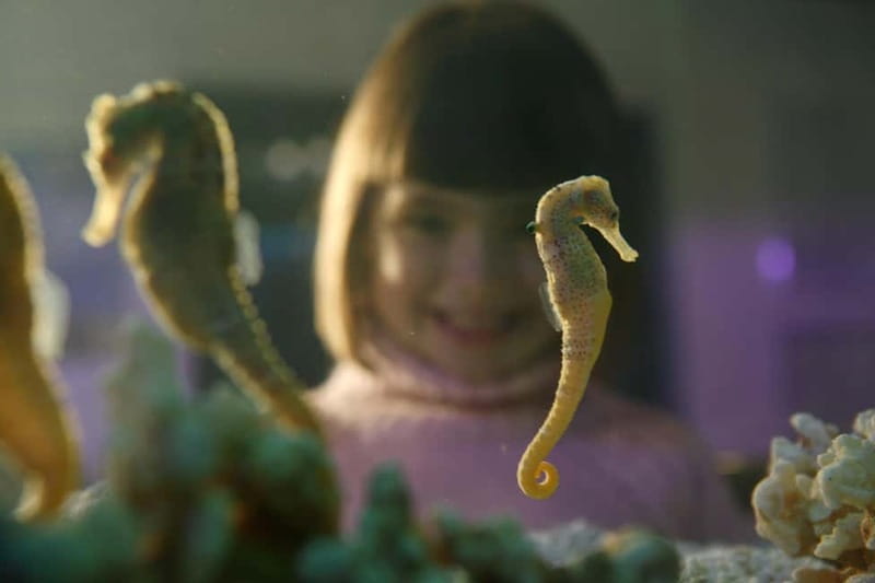 Munich: Day Ticket to Sea Life - How the $21 Ticket Measures Up