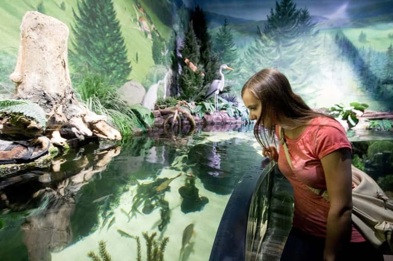 Munich: Day Ticket to Sea Life - Practical Details for Families and Access