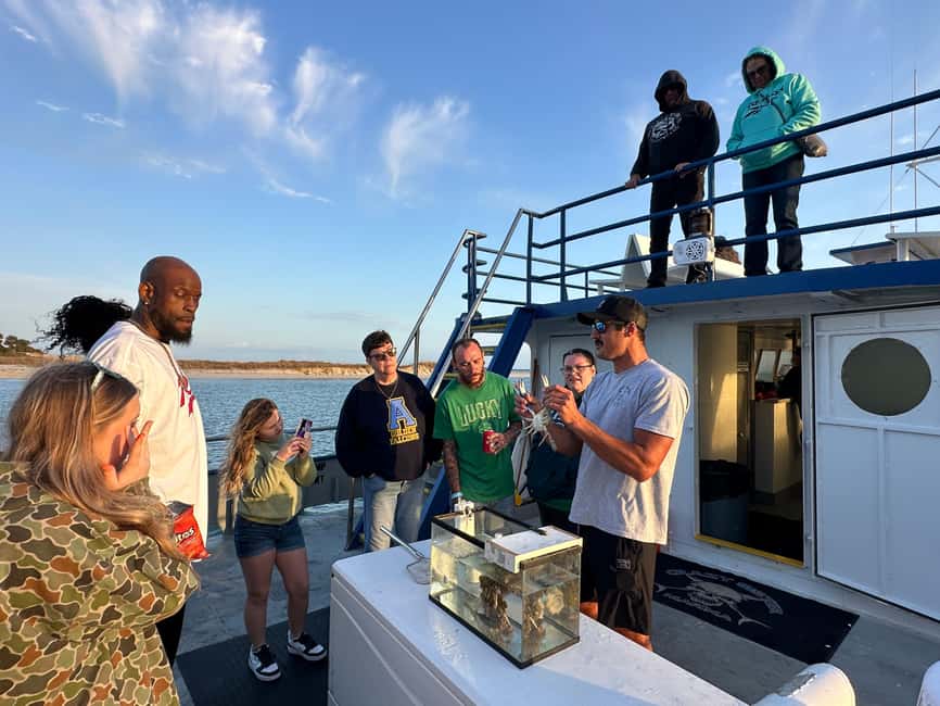 Murrells Inlet: Sunset Sealife Cruise - Sunset views are the strongest reason to go