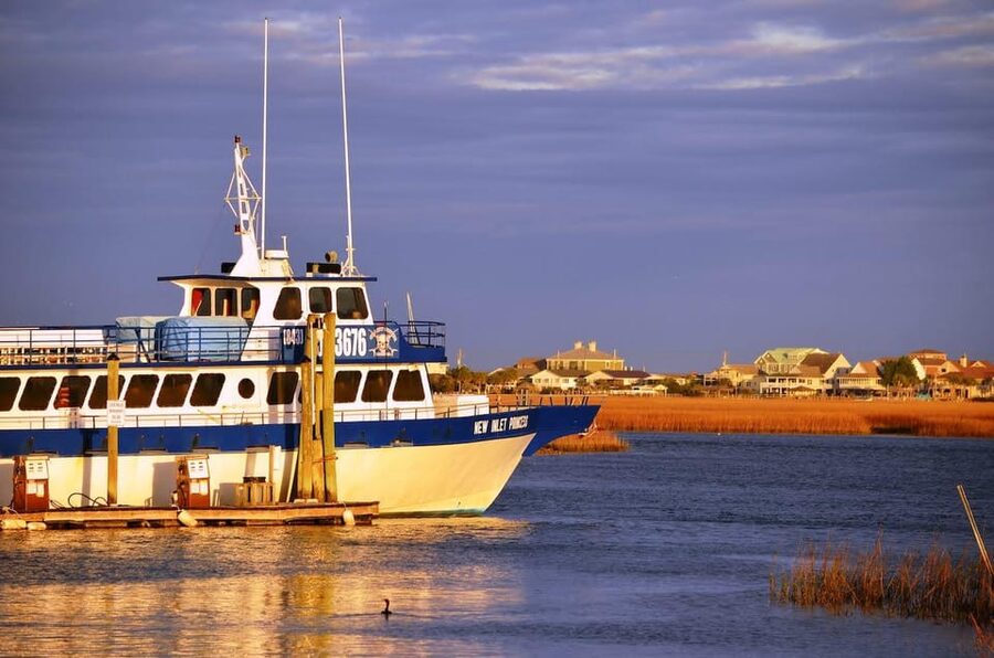 Murrells Inlet: Sunset Sealife Cruise - Sea life: keep your expectations realistic