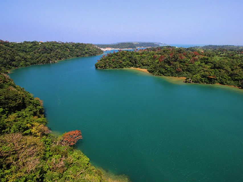 Naha: North Okinawa Sightseeing Tour & Churaumi Aquarium - The important details at a glance