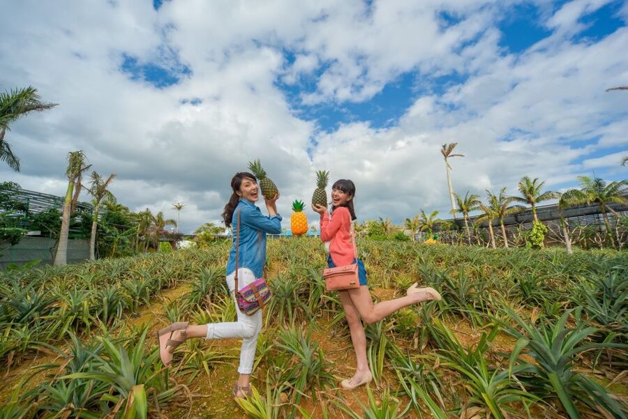 Naha: North Okinawa Sightseeing Tour & Churaumi Aquarium - Nago Pineapple Park: playful, odd, and better for some ages