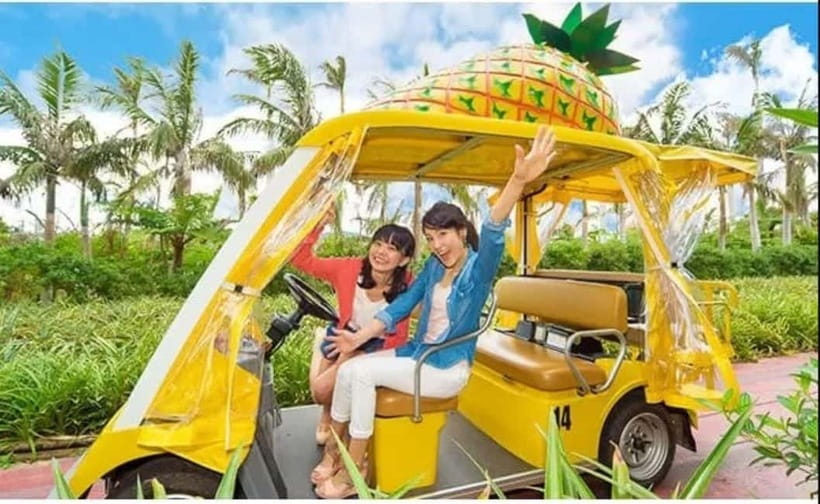 Naha: North Okinawa Sightseeing Tour & Churaumi Aquarium - Kouri Island and the bridge views
