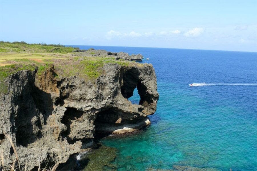 Naha: North Okinawa Sightseeing Tour & Churaumi Aquarium - Cape Manzamo and Elephant Rock