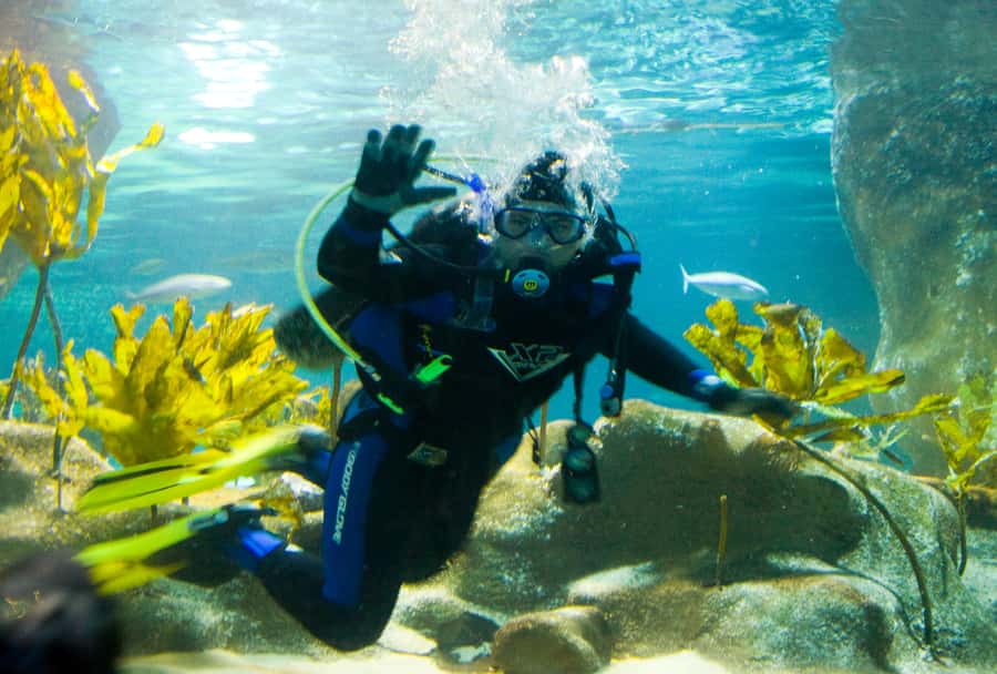 Napier: National Aquarium of New Zealand General Admission - Key things to know before you go
