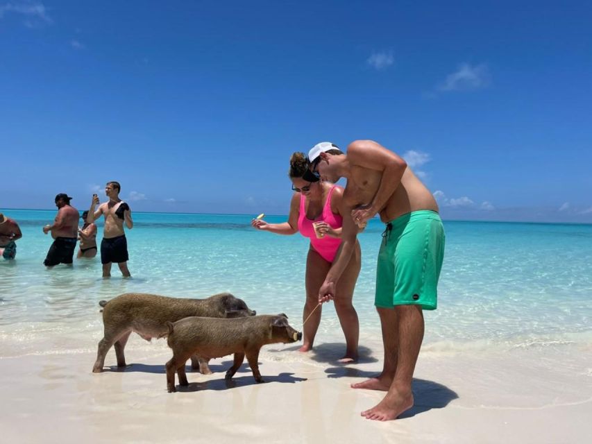 Nassau: Half-Day Guided Cay Cruise, Sea Life Watch & Snorkel - Rose Island gives the trip room to breathe