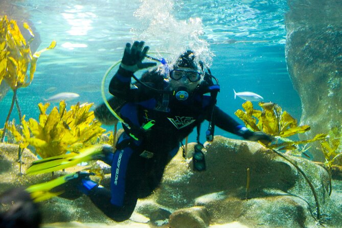 National Aquarium of New Zealand in Napier General Admission - Key points to know before you go