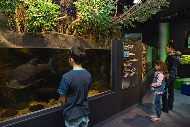 National Aquarium of New Zealand in Napier General Admission - Feeding times at 10am and 2pm