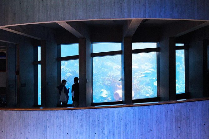 New England Aquarium Admission Ticket in Boston - Key Points Before You Go