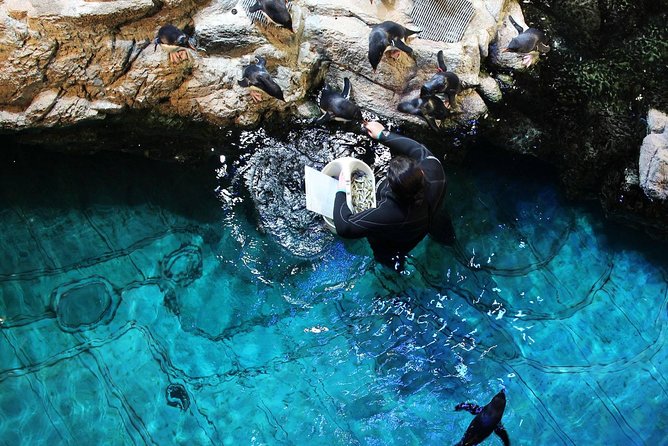 New England Aquarium Admission Ticket in Boston - Myrtle the Sea Turtle and Hands-On Tanks