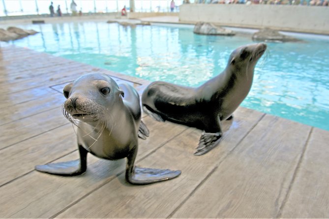New England Aquarium Admission Ticket in Boston - How Long to Spend Inside