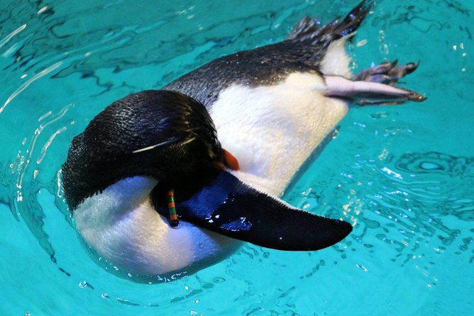 New England Aquarium Admission Ticket in Boston - Family Appeal and Who Will Enjoy It Most