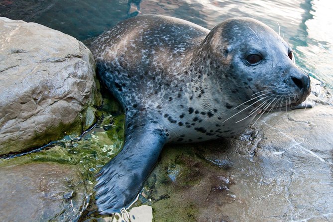New England Aquarium Admission Ticket in Boston - Booking and Cancellation Details
