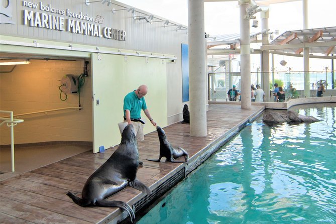 New England Aquarium Admission Ticket in Boston - Penguins, Seals, and Marine Mammals