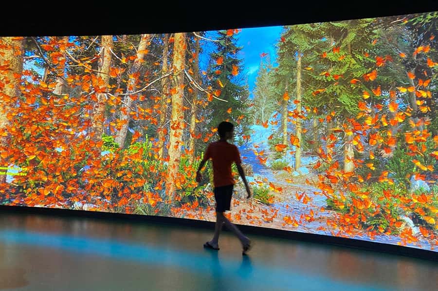 New Orleans: Audubon Aquarium & Insectarium Ticket - Key points to know before you go